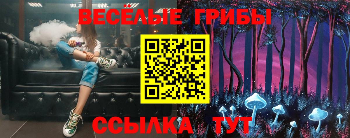 Кузнецк  Псилоцибиновые грибы мухоморы  Вход с VPN  Галлюциногенные грибы ЛСД 