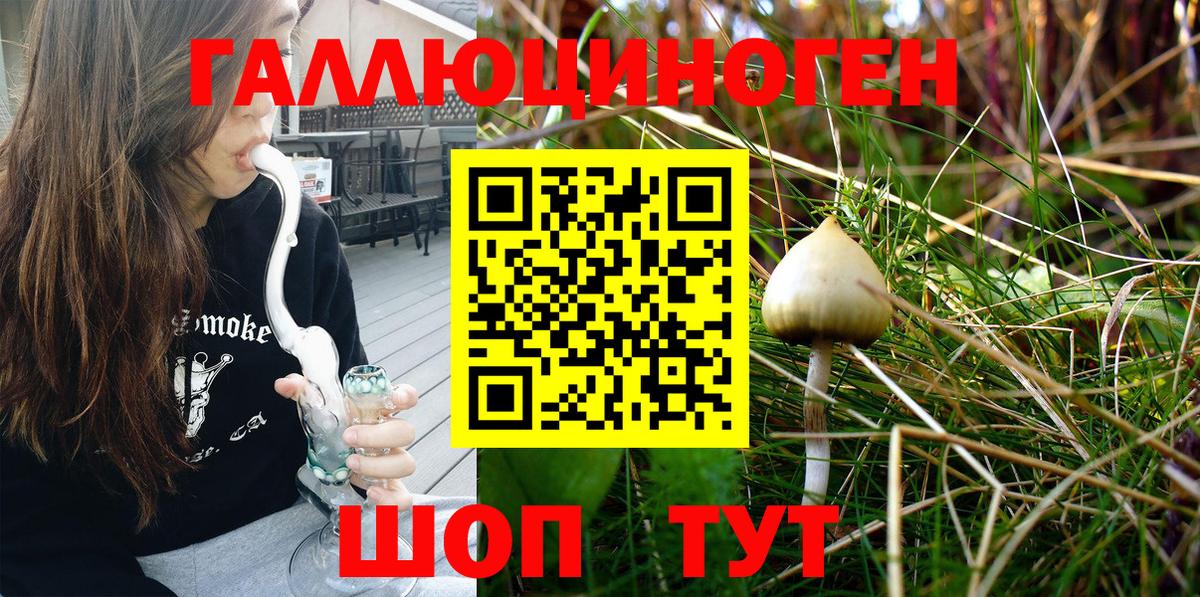 Галлюциногенные грибы Cubensis Кузнецк